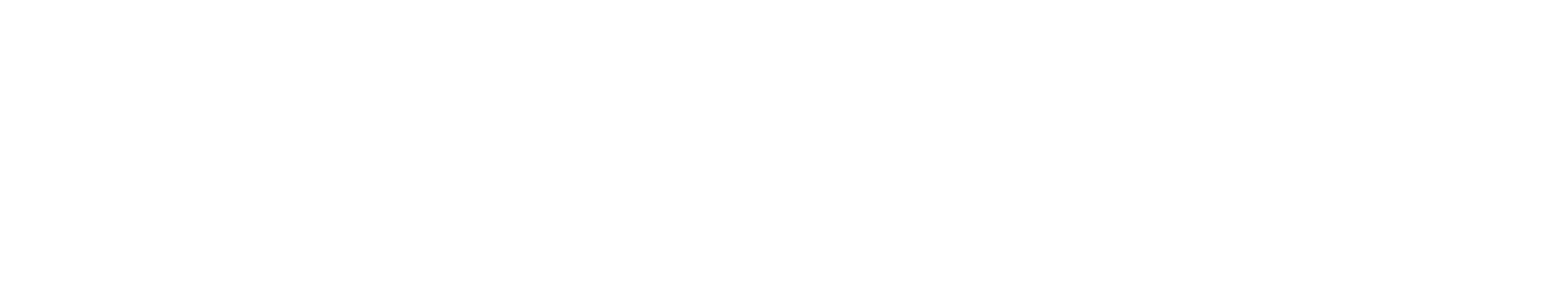 Fan Motors